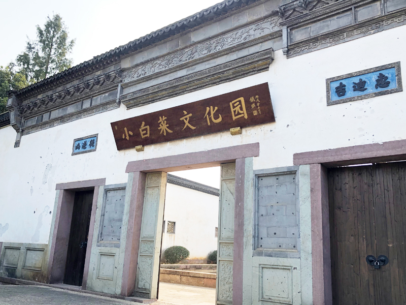 徐永革余杭小白菜文化園營(yíng)銷經(jīng)理