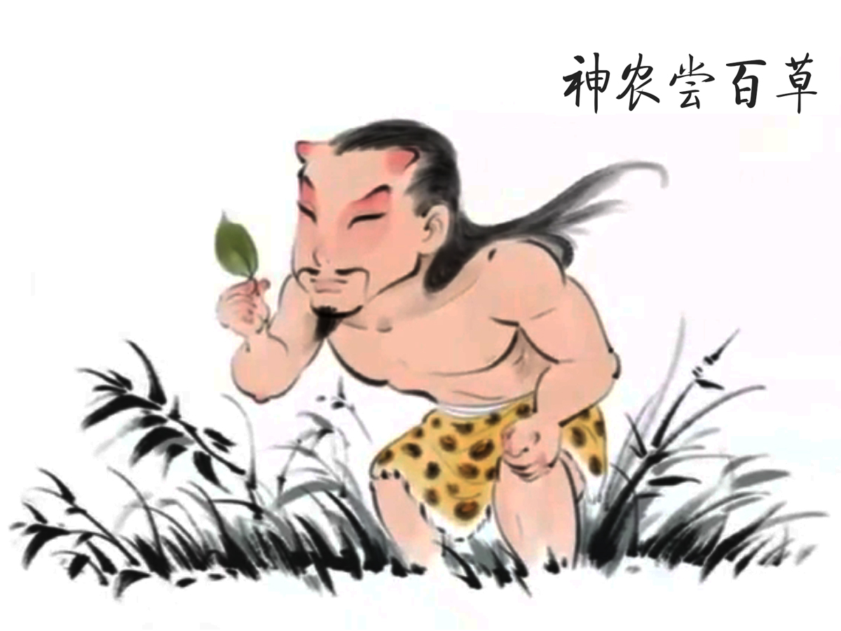 神農(nóng)嘗百草的故事插畫(huà)